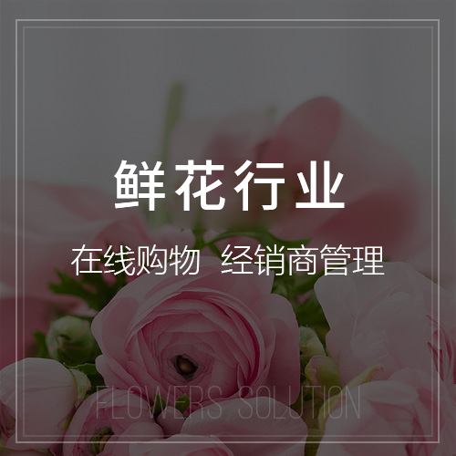 龙岩APP开发团队的全栈技术栈选型趋势