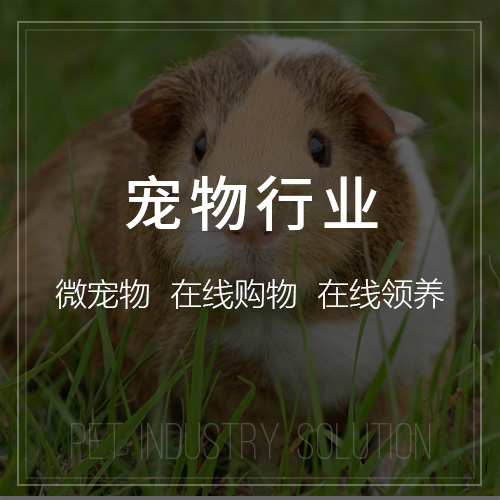龙岩企业APP开发与自建团队的利弊对比